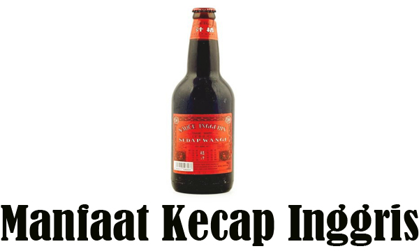 Manfaat Kecap Inggris